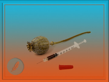 Heroin is an illegal opiate drug that is processed from the opium poppy plant