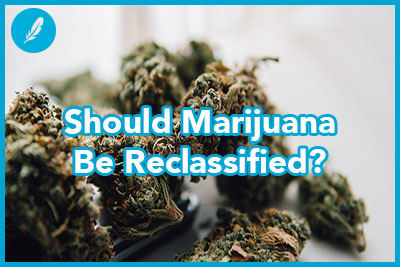 strains of marijuana for sale. Medical marijuana and the legalization of marijuana in the world. Shlallow focus effect