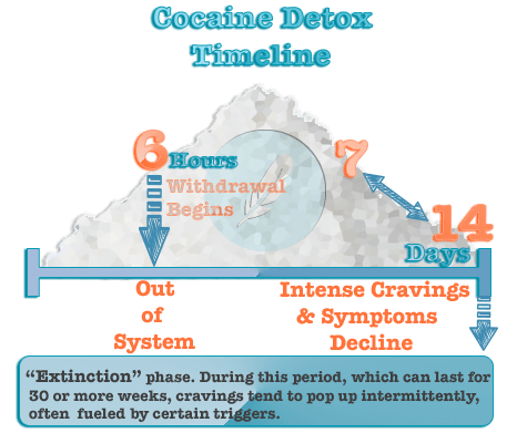 Cocaine Dependence and Withdrawal
