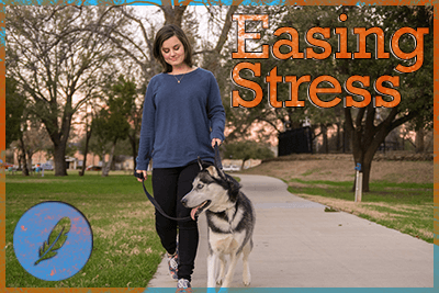 Easing Stress and Mental Illness with Animal-Assisted Therapy