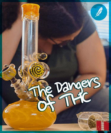 The Dangers of THC