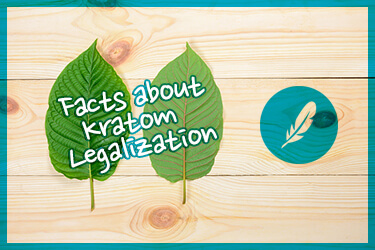 Facts about Kratom Legalization
