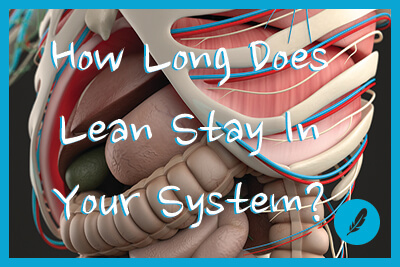 how long does lean stay in your system solutions recovery